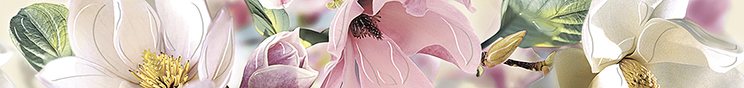 картинка Boho Бордюр "Magnolia'' 7,5x63 от магазина Одежда+